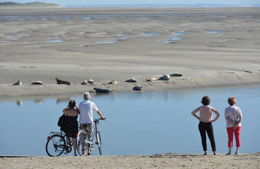 Hamac - Vue Mer - 100M Plage Berck Exterior foto